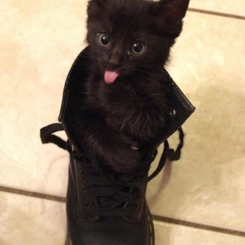 threw w/ lungskull (icemop)