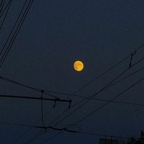 Stream Moonlight By Lofi Beans Listen Online For Free On SoundCloud