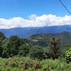 Samcholing by Sonam Wangdi & Phub Zam  Lyrice Lop Tenzin. .mp3