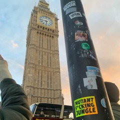 Neö-Rave Levations IIl:XXi€4l d4z£*