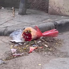 ‎⁨ليلة البحث عن الجدوى⁩