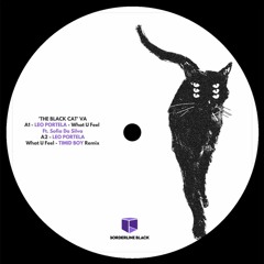 Various - The Black Cat incl. Timid Boy Remix // BLBV02