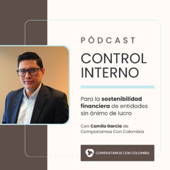 Control Interno | Sostenibilidad Financiera en Entidades Sin Ánimo de Lucro en Colombia