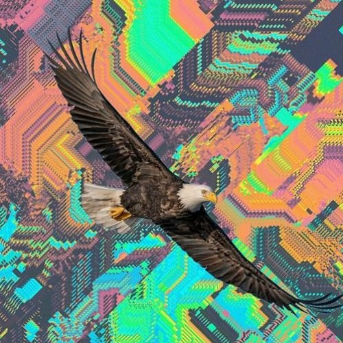 Flight