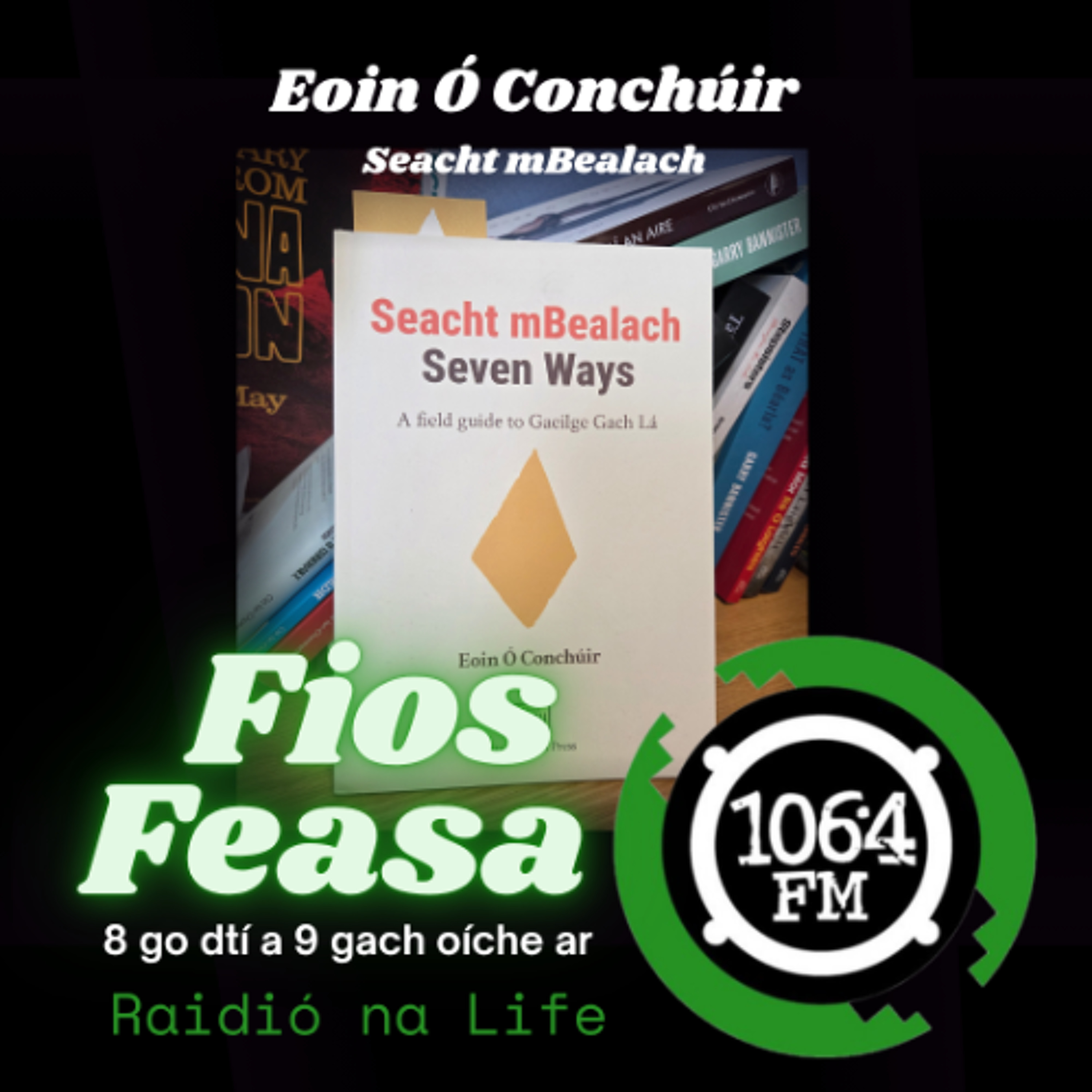 Eoin Ó Conchúir - Bite Size Irish episode artwork