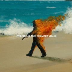 HYPERBOLIC TIME CHAMBER VOL. XII