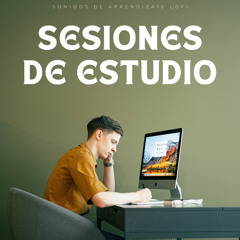 Flujo De Estudio Sereno