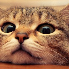 Taraso Lai Takato Tido Rayola. mp3