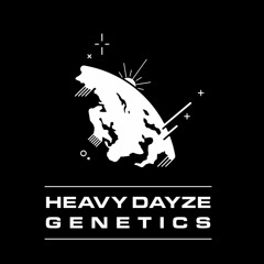 3 - 13 - 2022 - HeavyDayze