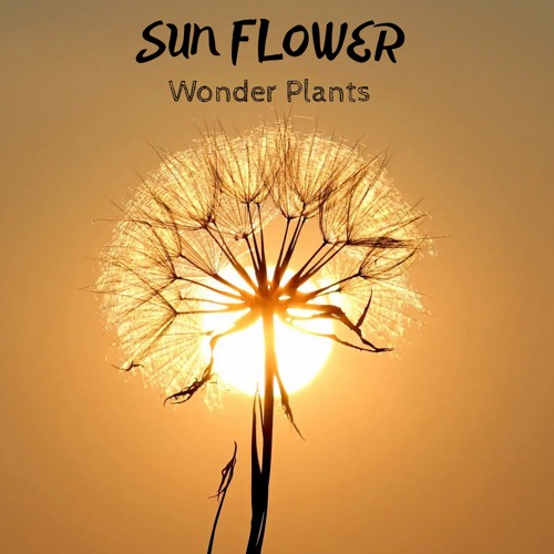 Stream Plantasia by Wonder Plants Listen online for free on SoundCloud