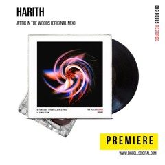 PREMIERE: Harith - Attic in the Woods [Big Bells Records]