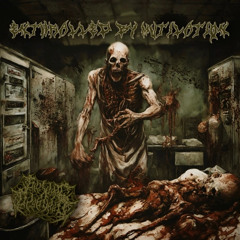 Rotten fetus
