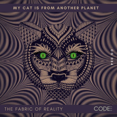 The Fabric Of Reality - My Cat Is From Another Planet (Original Mix)