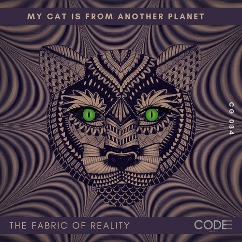 The Fabric Of Reality - My Cat Is From Another Planet (Original Mix)
