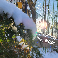 겨울엔 이불 밖은 위험해