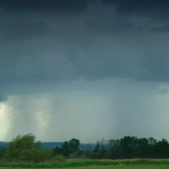 RAINSTORM-QTR