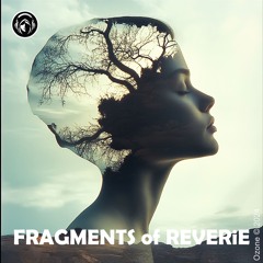 FRAGMENTS Of REVERiE