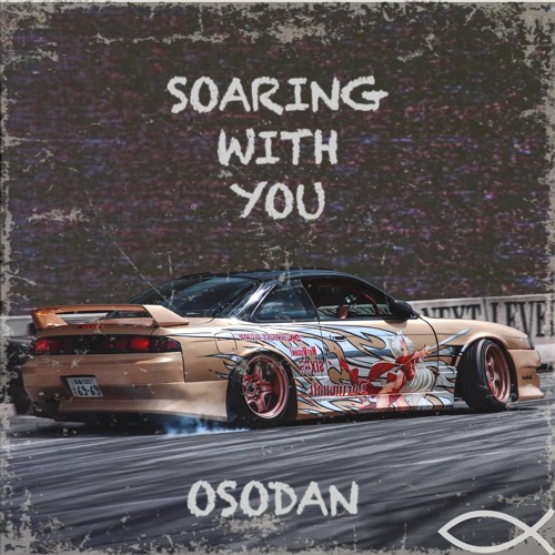Soaring with You