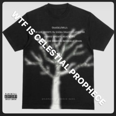 N!teshøw