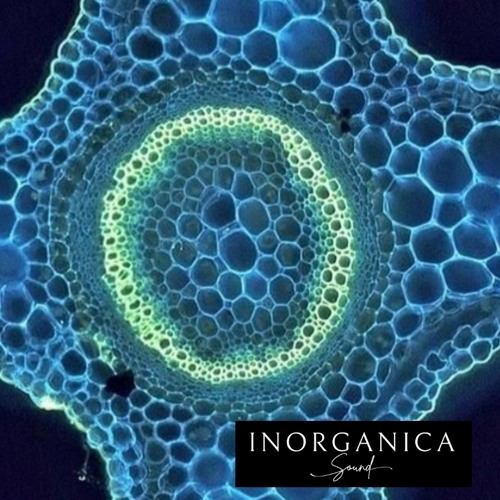 Underside - Blowing bubbles