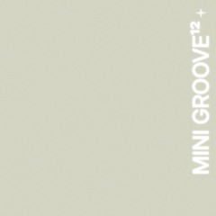 mini groove¹²