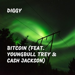 Bitcoin (feat. Youngbull Trey & Cash Jackson)