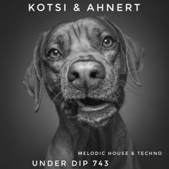 Kotsi & Ahnert UNDER DIP Ep. 743 Melodic House & Techno (123bpm)