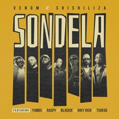 Venom & Shishiliza - Sondela (DJ MT AfroBeat Remix).