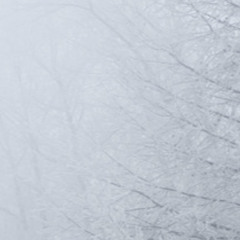 сквозь метель..... к мечтам...... к вершине.......