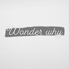 Wonder Why