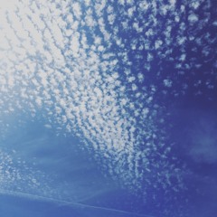 Disposable