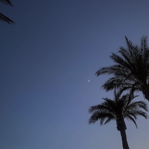 Shiks feat. Keyshia Cole - Last Night (afro house tec)