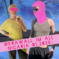 DJ Bürgergeld b2b Emmski98 @Krawall im All (Nicaria 01/25)
