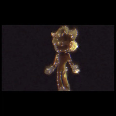 squirl beats - Playboi Carti x Cochise Type Beat [Tell Em] (slowed)