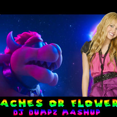 Super Mario Bros ft Bowser vs Miley Cyrus - Peaches or Flowers (DJ Dumpz Mashup)