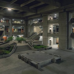 🆕 BASED BANGERS ❗️