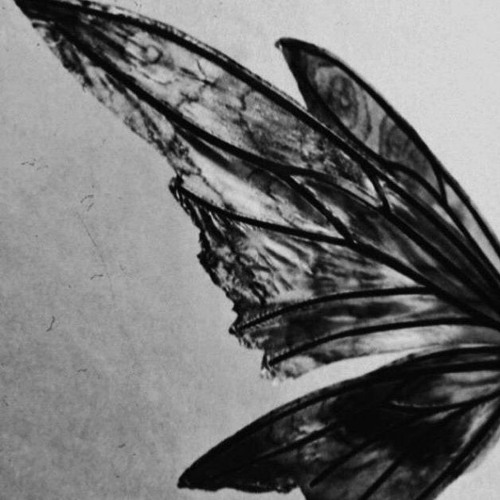 𝓗𝓮𝓲𝓷𝓮𝓴𝓮𝓷