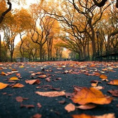 FALLEN LEAF Central Park NY