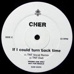 Cher - If I Could Turn Back Time (TNT Vocal Remix)