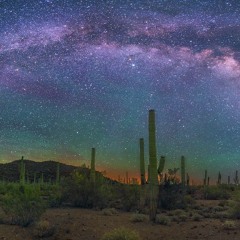 PERICULOSA TERRA-NOV3-III-2K25 160