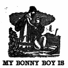 The Trees They Do Grow High