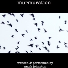 murmuration