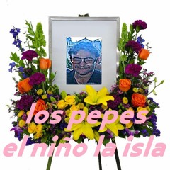 ER NIÑO LA ISLA