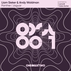 Andy Woldman, Liam Seiker - Jaguar (Golan Zocher Remix)