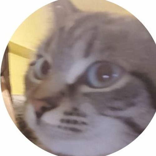 Stream DLP - Pisica by User 781772141  Listen online for free on 