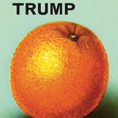 get⚡[PDF]❤ A Ladybird Book About Trump (Ladybirds for Grown-ups)