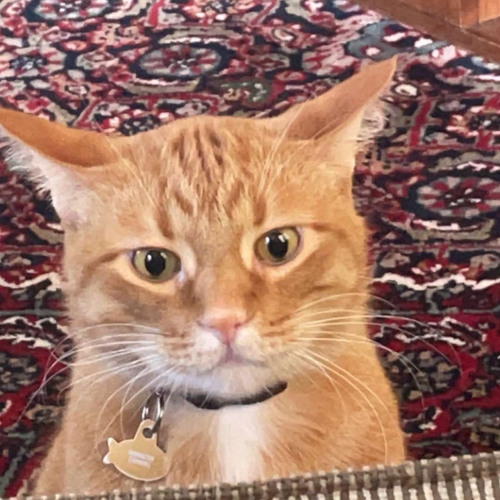 DANGEROUS - Juice WRLD