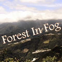 Forest In Fog (Demo)