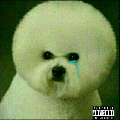 개새끼 (Son of bish) (With. PlayKid) (Prod.Astroboi)