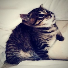 оля уволена - лучшая подруга